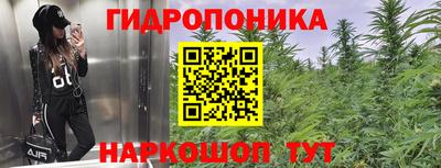 прущие крисы Краснознаменск