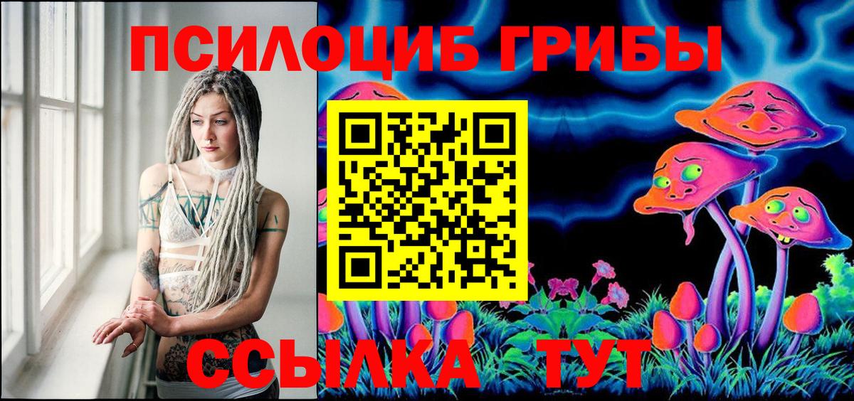 Псилоцибиновые грибы GOLDEN TEACHER Касимов
