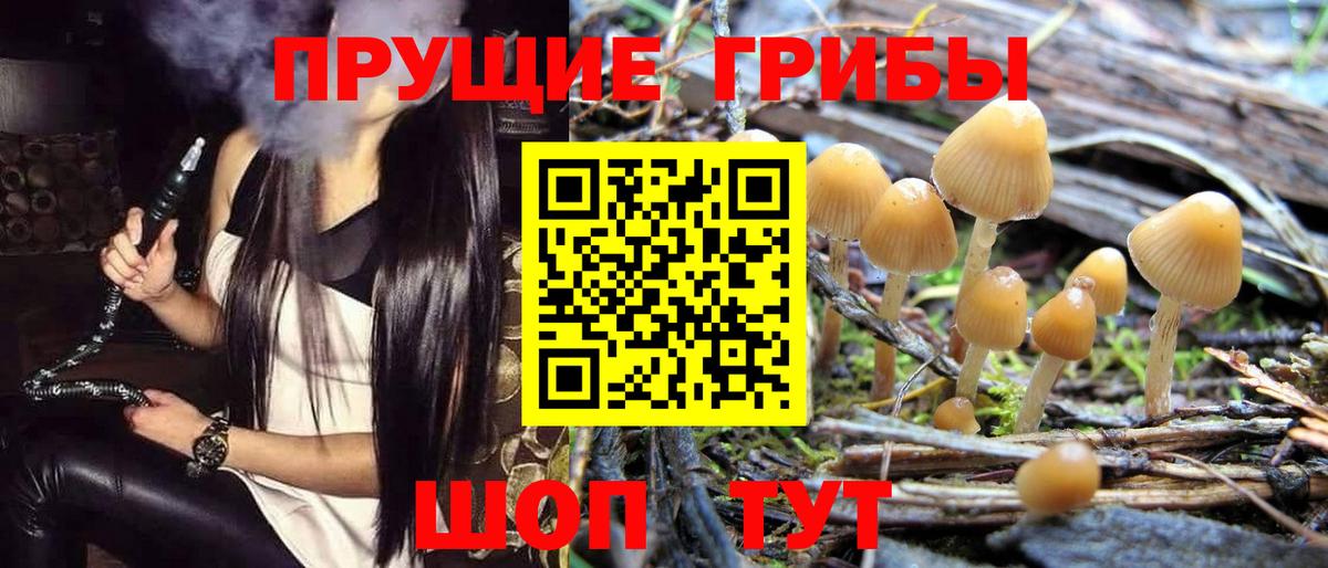 Касимов  Псилоцибиновые грибы MAGIC MUSHROOMS  Вход с VPN 